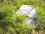 image of grave number 455263